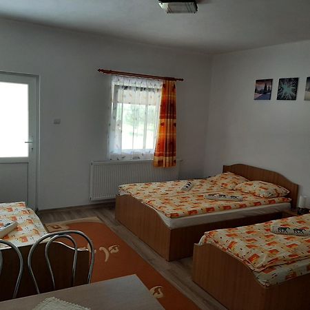Kacso Apartma Ocna de Sus Luaran gambar