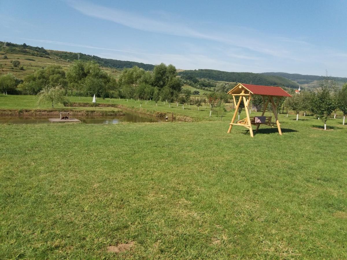 Kacso Apartma Ocna de Sus Luaran gambar