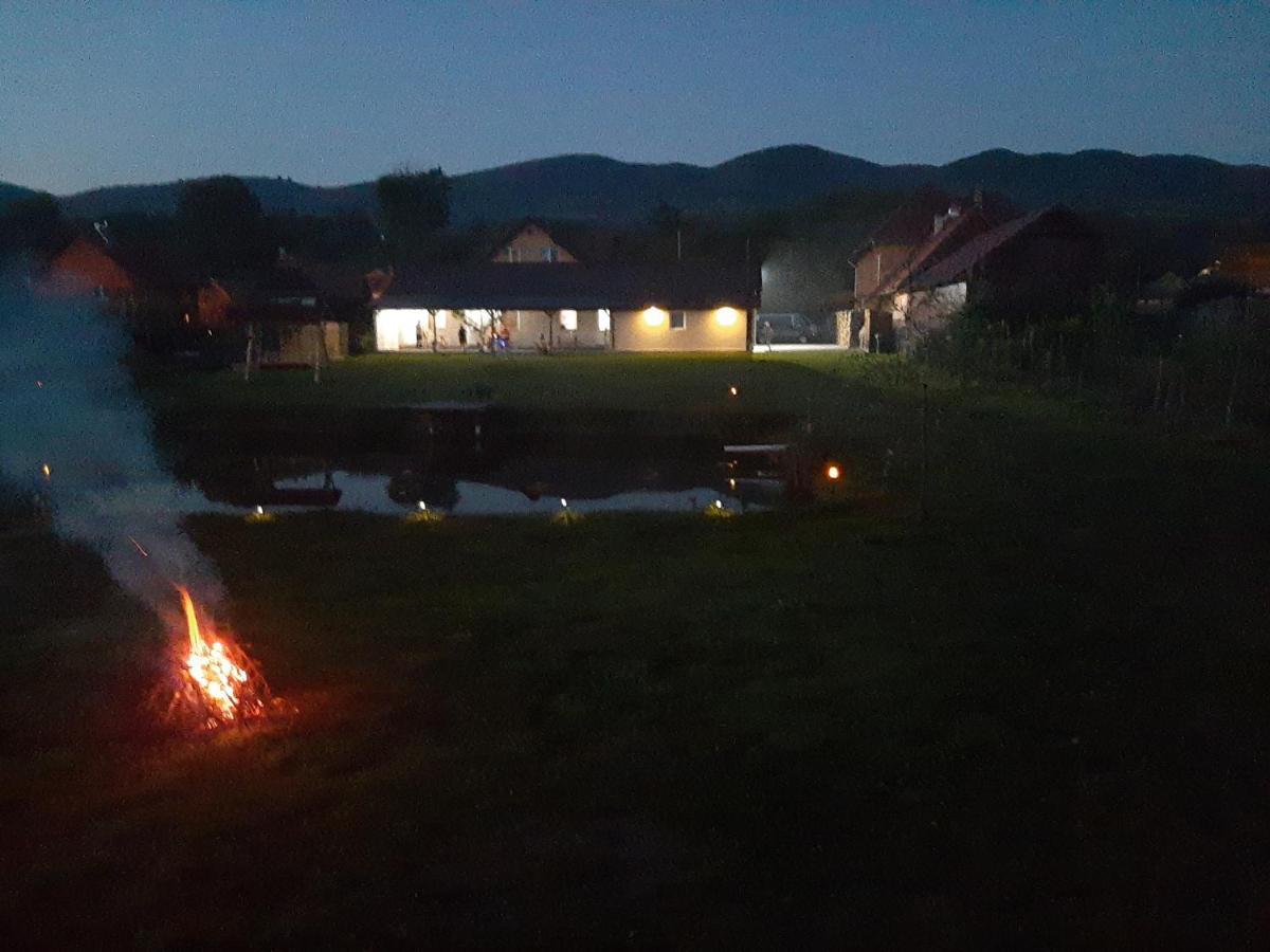 Kacso Apartma Ocna de Sus Luaran gambar