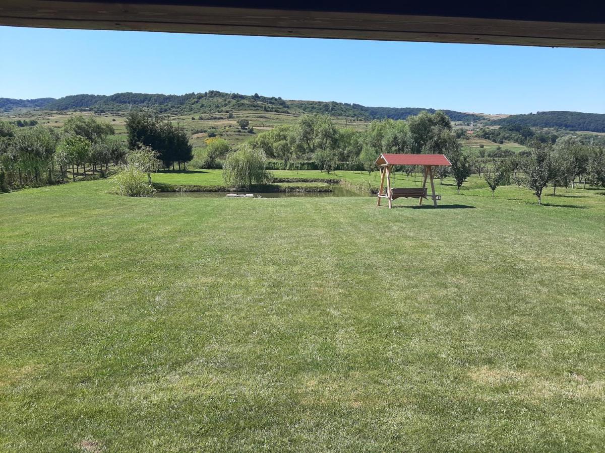 Kacso Apartma Ocna de Sus Luaran gambar